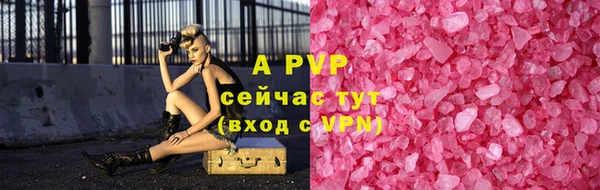 спайс Бородино