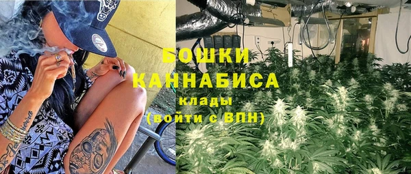 спайс Бородино