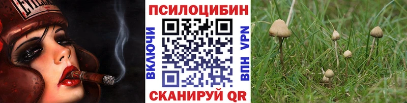 Псилоцибиновые грибы GOLDEN TEACHER Горнозаводск