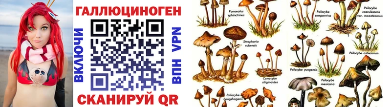 Галлюциногенные грибы Psilocybe Горнозаводск