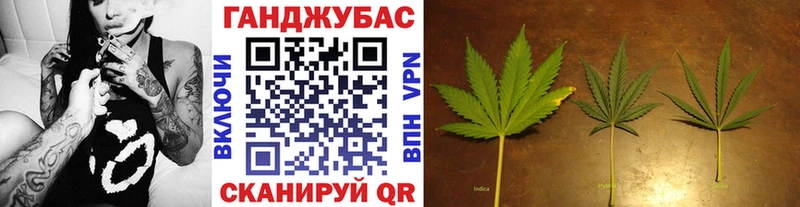 Канабис сатива  что такое   Горнозаводск 